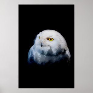 queen of the forest poster