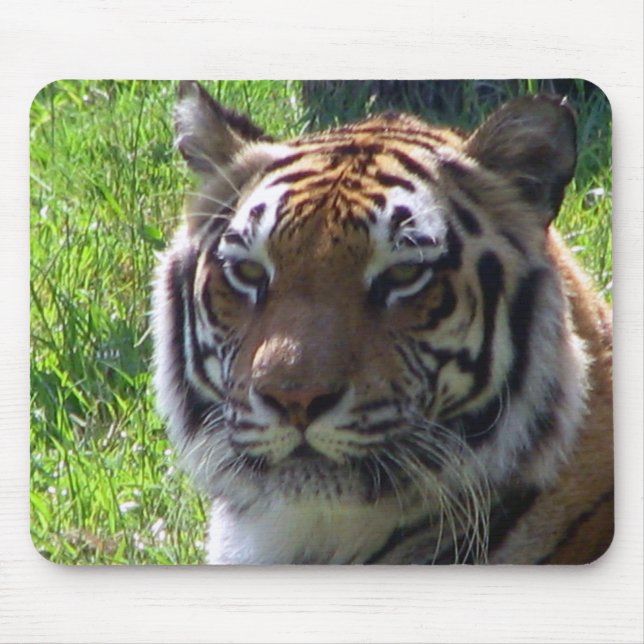 Queen of the Jungle Mouse Pad (Front)