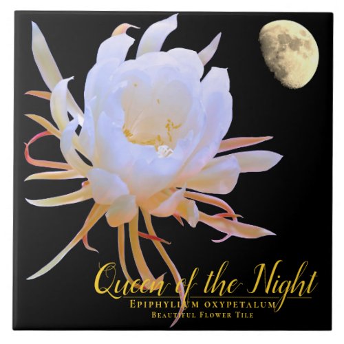 Queen of the Night タイル Ceramic Tile