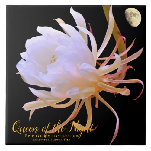 Queen of the Night タイル Ceramic Tile