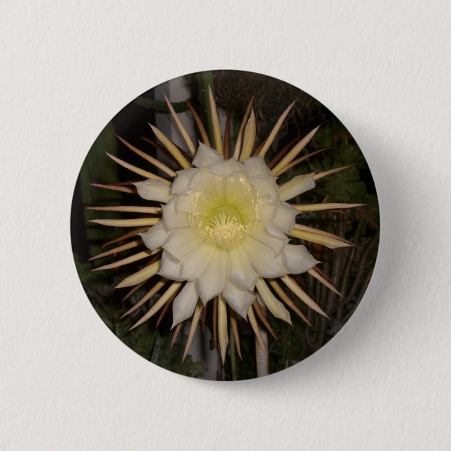 "Queen Of The Night" Cactus Flower Button (Front)