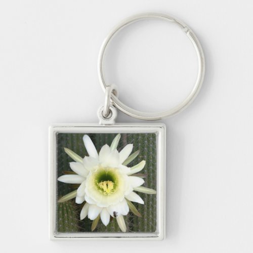 Queen Of The Night Cactus Flower Karoo Region Keychain