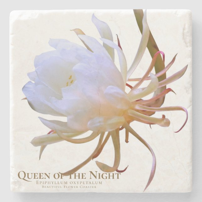 Queen of the Night Stone Coaster (Front)