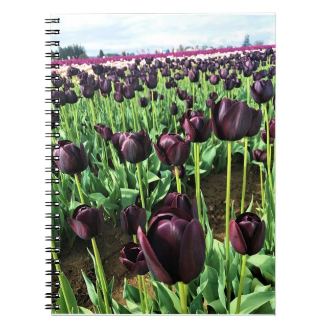 Queen of the Night Tulips, Oregon Notebook (Front)
