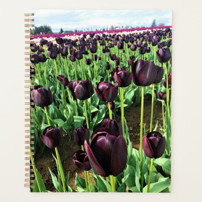 Queen of the Night Tulips, Oregon Planner (Front)