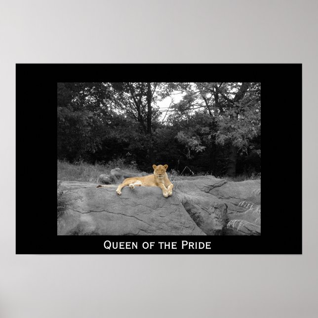 Queen of the Pride Poster (Front)