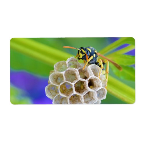Queen Paper Wasp Tending to Her Nest Label