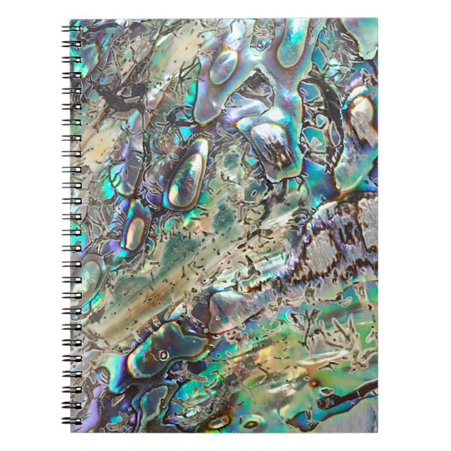 Queen paua shell notebook (Front)