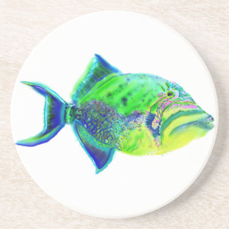 Queen Triggerfish Coaster