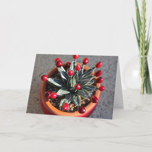 Queen Victoria Agave with Cranberries by DLBaldwin Card