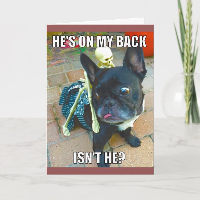 QueenFiFi Halloween Card (Front)