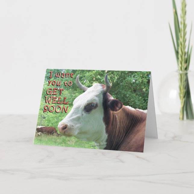 Queenie Says--Get Well Soon Card (Front)