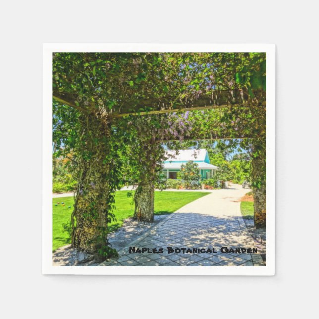 Queen's Wreath Naples Botanical Garden, Florida Paper Napkins (Front)