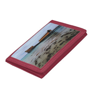 Queenscliff Dreaming Photo Wallet