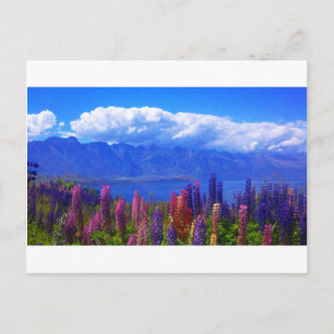 Queenstown New Zealand lupine over Lake Wakatipu Postcard