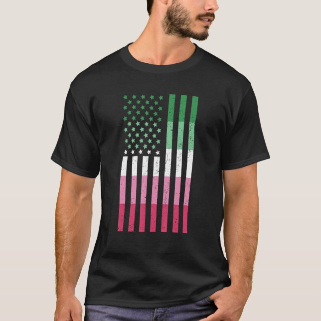 Queer Abrosexuality Usa Flag Lgbt Pride Patriotic  T-Shirt (Front)