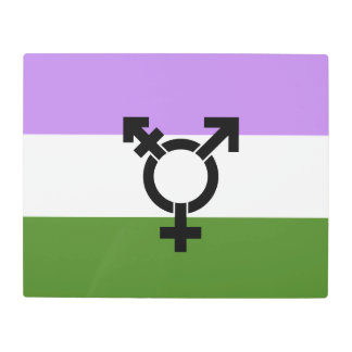 Queer - Gender Queer Pride Metal Print