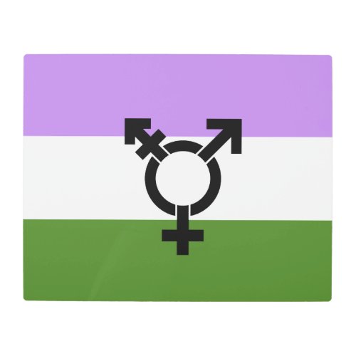 Queer _ Gender Queer Pride Metal Print