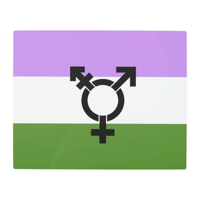 Queer - Gender Queer Pride Metal Print (Front)