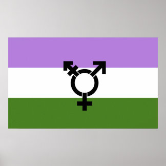 Queer - Gender Queer Pride Poster