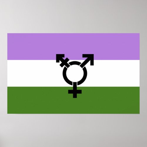 Queer _ Gender Queer Pride Poster