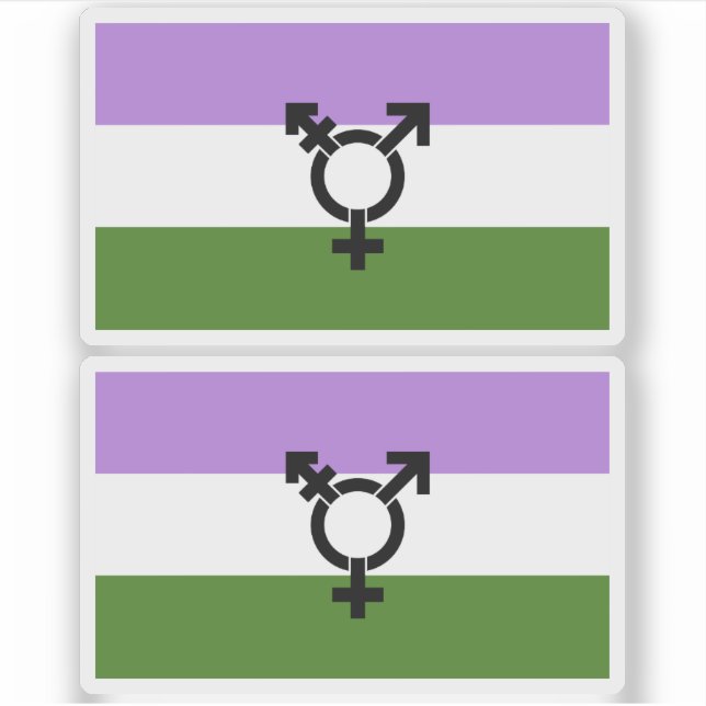 Queer - Gender Queer Pride Sticker (Front)