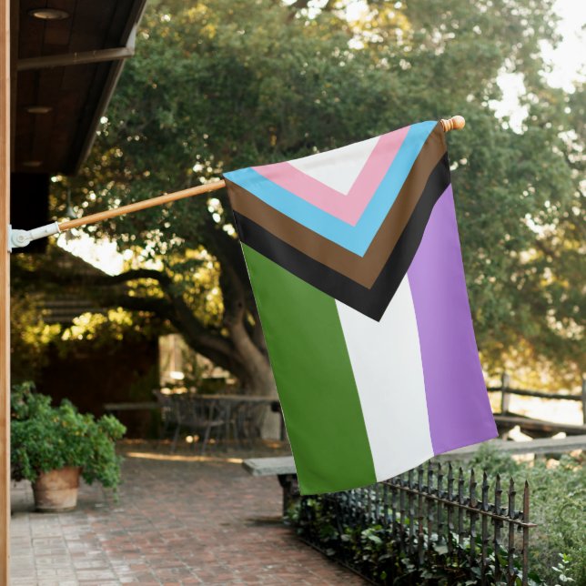 Queer Progress Pride Flag (In SItu)