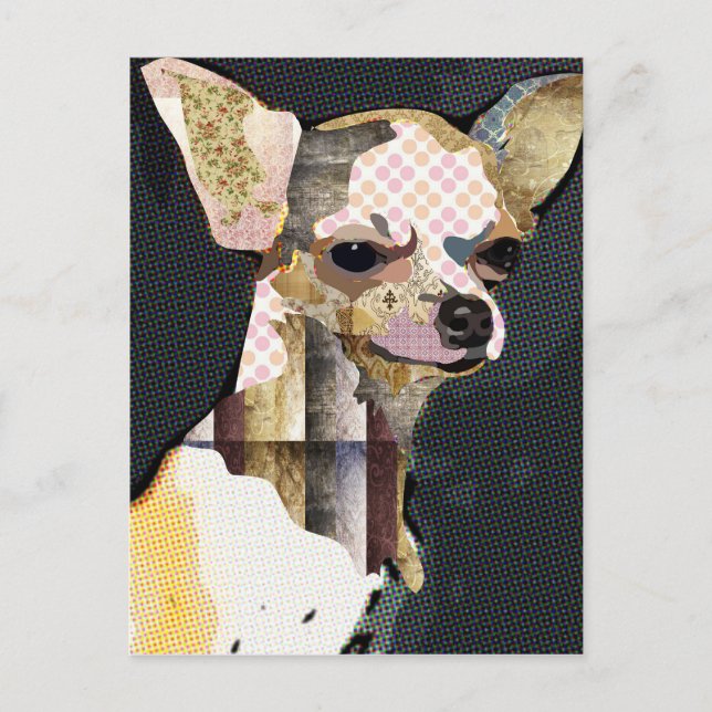 Quem não ama Chiuaua? Postcard (Front)