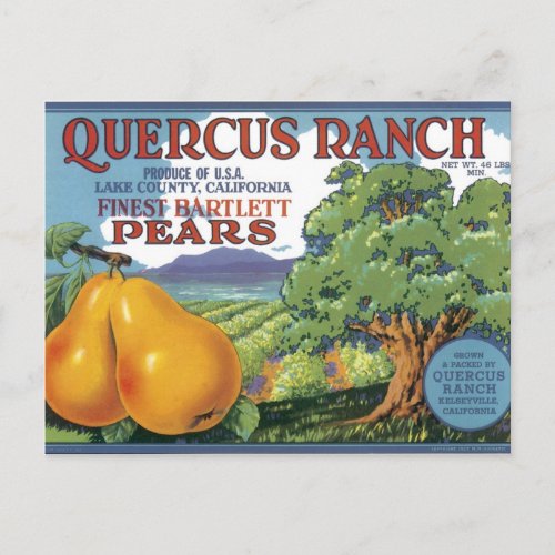 Quercus Ranch Bartlett Pears Postcard