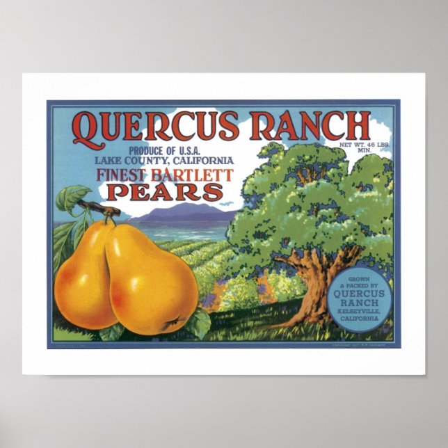 Quercus Ranch Bartlett Pears Poster (Front)