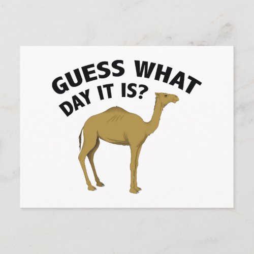 Quess What Day It Is Postcard