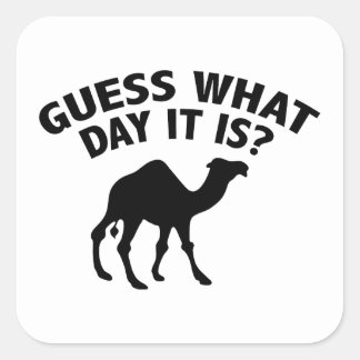 Hump Day Camel Stickers | Zazzle