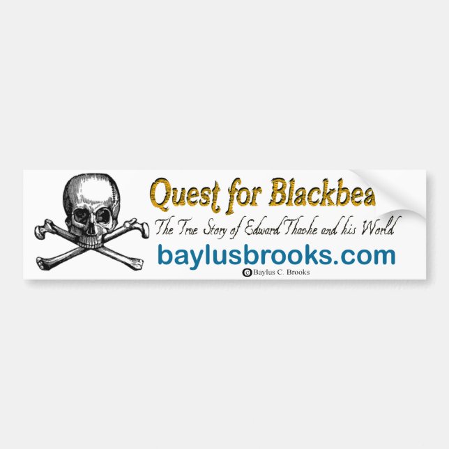 Quest for Blackbeard skull Bumper Sticker (Front)
