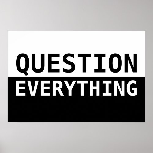 Question Everything Poster
