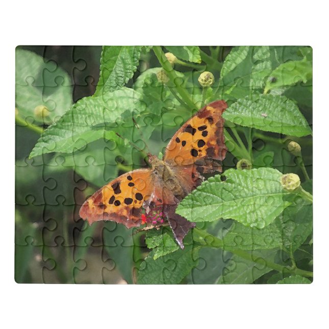 Question Mark Butterfly on Lantana Jigsaw Puzzle (Puzzle Horizontal)