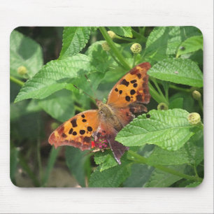Question Mark Butterfly on Lantana Mouse Pad