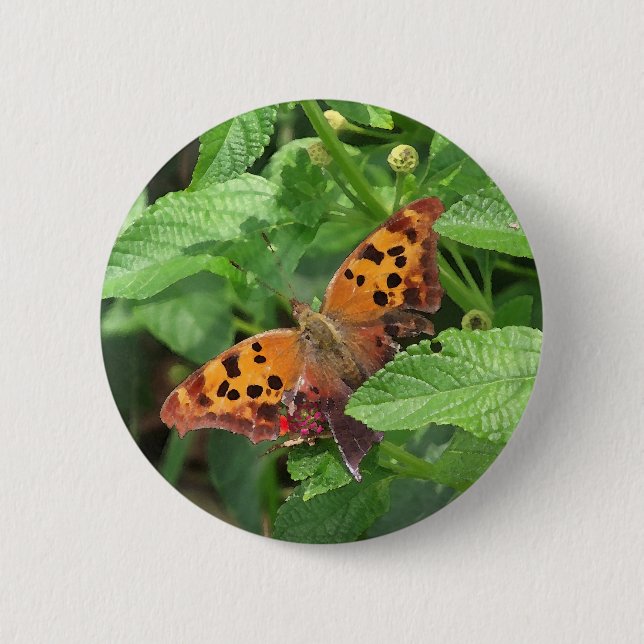 Question Mark Butterfly on Lantana Pinback Button (Front)
