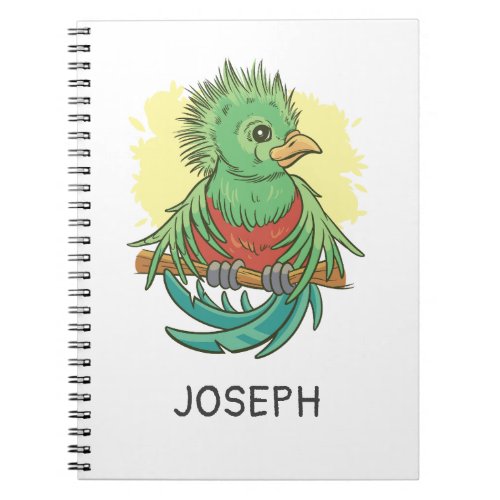 Quetzal bird animal cartoon design notebook