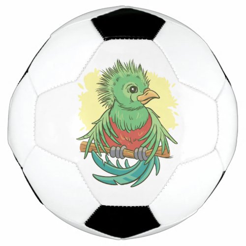 Quetzal bird animal cartoon design soccer ball