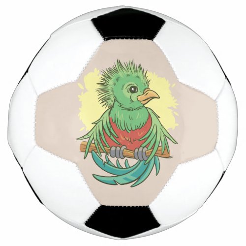 Quetzal bird animal cartoon design soccer ball