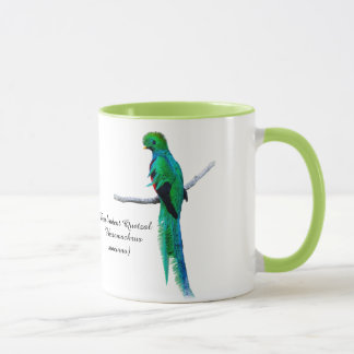 Quetzal drawing Bird illustration Watercolor Mug