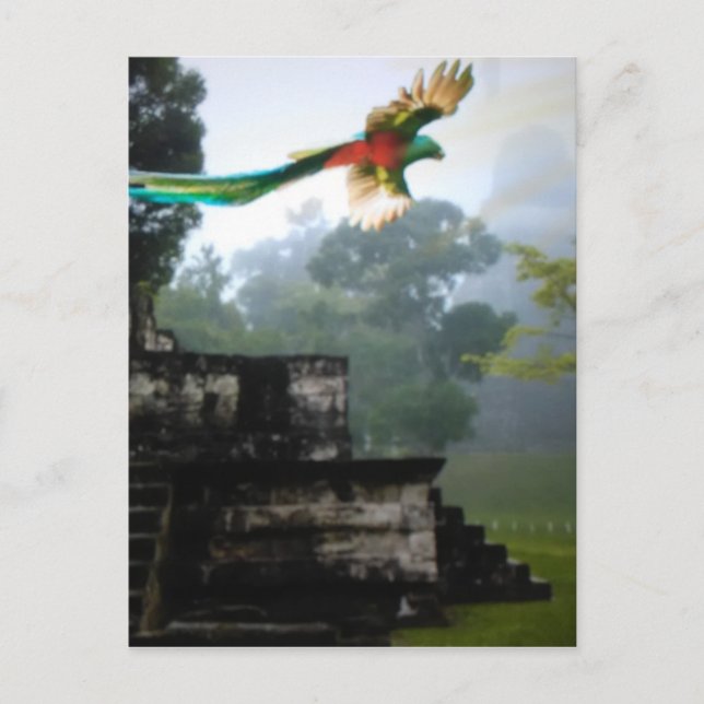 Quetzel in Tikal Postcard (Front)