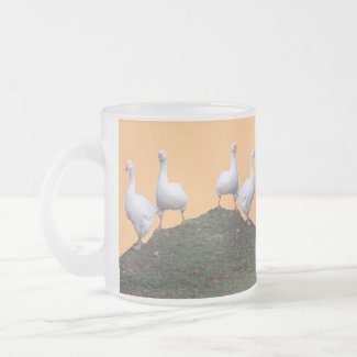 Queue Uped Cute Geese Orange Frosted Glass Mug