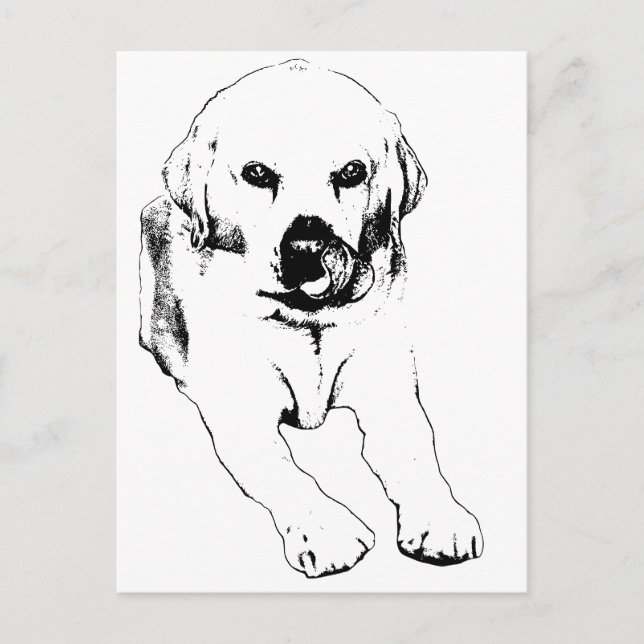 Quick hello from a Lab Postcard (Front)