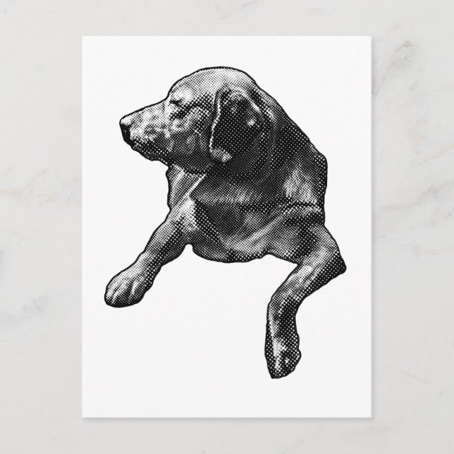 Quick Hello with Fine Dots Postcard (Front)