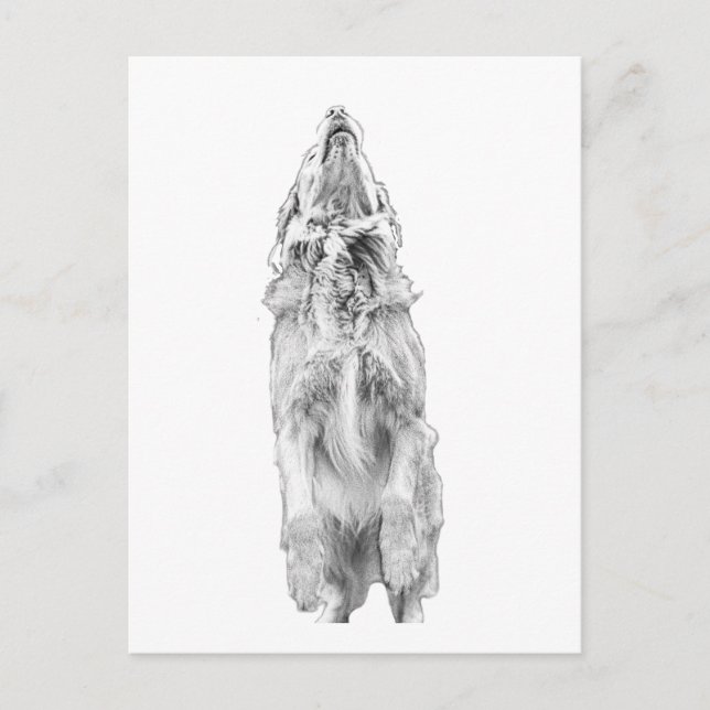 Quick note, golden light postcard (Front)