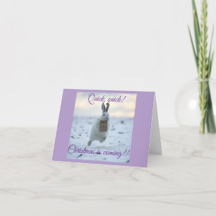 Quick, quick Christmas is coming! Holiday Card