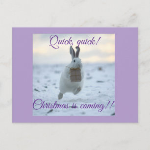 Quick, quick Christmas is coming! Holiday Postcard