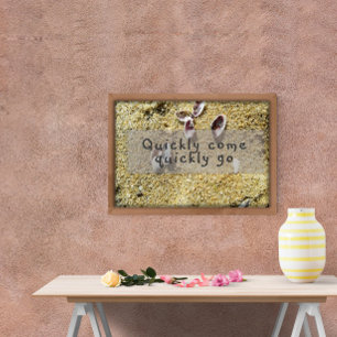 Quickly come quickly go inspiration wisdom poster
