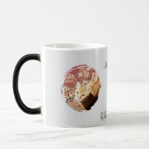 Quickly Judging You, Cat photo, Humor Color Morph Mug